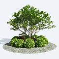 Round Green Bushes Arrangement With Central Tree Gravel Ground And Red Flowers
