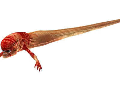 Mythical Reptilian Creature With Red Head Sharp Teeth Claws And Long Slender Body 3d model