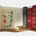 Book Themed Photo Spot With Open Book Botanical Illustrations And Colorful Vintage Book Stack