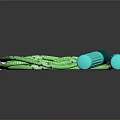 Green Braided Jump Rope With Teal Handles For Fitness Exercise