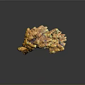 Colorful Coral Structure With Yellow Orange Purple Porous Texture And Holes