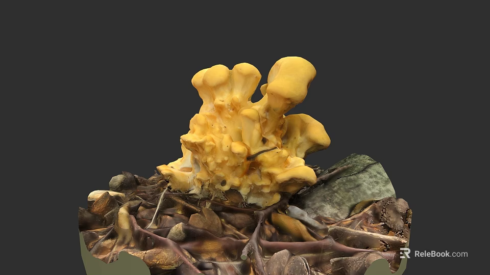 Vibrant Yellow Mushroom Plant Painting with Dried Leaves and Twigs on Dark Background 3d model 
