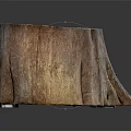 Natural Rustic Wooden Stump Decorative Piece With Authentic Wood Grain For Home Interior