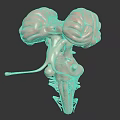 Realistic 3D Medical Model Showing Human Organs and Hair Anatomical Structures