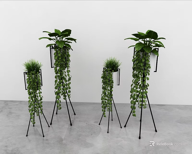Hanging Basket Plants on Black Tripod Stands with Lush Trailing Vines against White Wall 3d model 