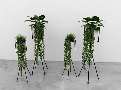 Hanging Basket Plants on Black Tripod Stands with Lush Trailing Vines against White Wall 3d model