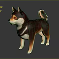 Shiba Inu 3D Model with Brown and White Fur Standing on Dark Background with Reflection