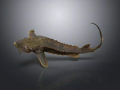 Ancient Aquatic Fish 3D Model Featuring Flat Head Broad Body Long Tail Yellow Scaly Texture 3d model