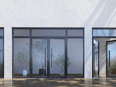 Black Frame Glass Double Doors with Indoor Plants Against White Wall on Wooden Floor 3d model