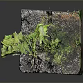 Natural Wooden Stone Featuring Textured Surface and Green Moss Accents