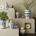 Blue and White Ceramic Vessels Jars Vases and Plates with Green Plants on Shelf