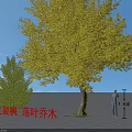 Trident Maple Deciduous Tree with Surrounding Saplings Blue Sky and Figures 3d model