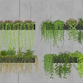 Lush Trailing Hanging Basket Plants In Wall Mounted Planters For Home Decor