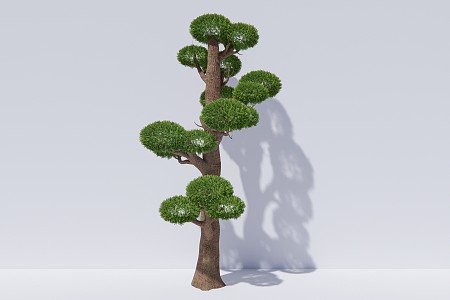 modern trees butt ash arbor plants 3d model