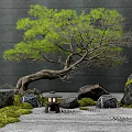 Japanese Zen Garden with Rockery Stones Green Pine Tree Stone Lantern Moss and Dark Wall