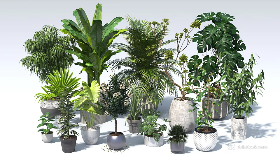 Assorted Potted Plants and Bonsai with Various Green Foliage and Stylish Planters for Home Decor 3d model 