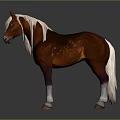 Brown Horse With White Mane And White Hooves Standing On Gradient Gray Background
