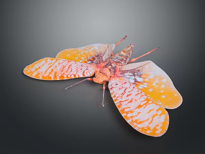 Vibrant Insect With Orange And White Patterned Wings On Dark Background 3d model