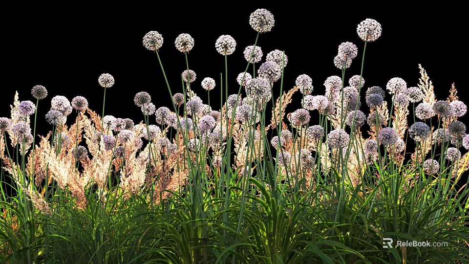 Flowering Shrubs With White And Purple Round Blooms Slender Stems Green Foliage 3d model 