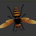 Wasp With Orange And Black Striped Body Red Head And Yellow Wings On Gray Background