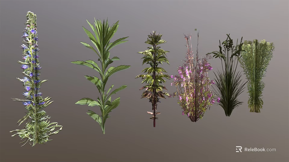 Various Indoor Outdoor Plants With Green Leaves Purple Flowers And Different Foliage 3d model 