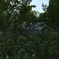 Lush Garden Landscape with Fruit Trees Green Plants and Stone Wall Background