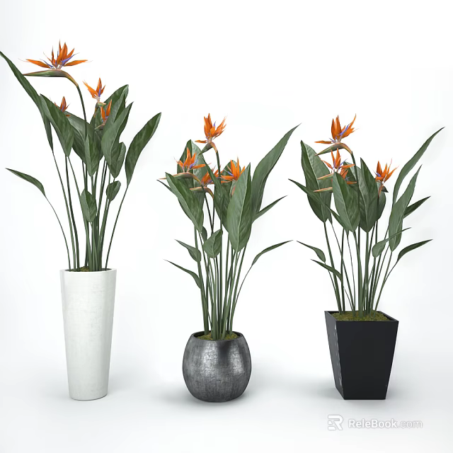 Bonsai Potted Plants with Orange Flowers Green Leaves in White Silver Black Pots 3d model 