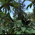 Lush Green Garden With Palm Trees Decorated Arch White Flowers And Large Leaves