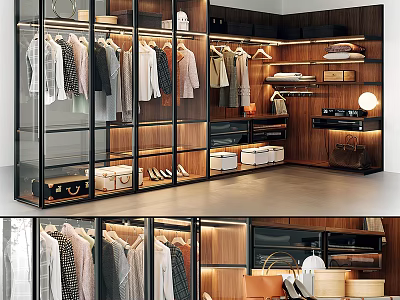 Sleek Modern Wardrobe Interior Design With Glass Doors Hanging Clothes Storage Boxes And Shoes 3d model