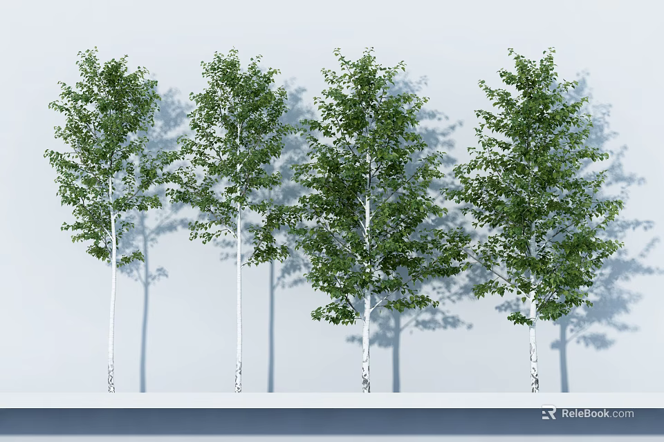 Lush Green Leafy Arbor Trees With White Trunks And Natural Soft Shadows 3d model 