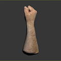 Detailed Realistic Clenched Fist Arm 3D Model With Gray Gradient Background 3d model