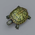 Detailed Reptile Turtle With Green Shell Patterns And Scaly Limbs On Gray Background 3d model