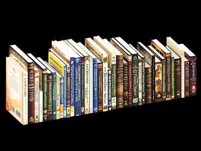 Books And Magazines Collection Arranged On Shelf With Various Colorful Covers 3d model