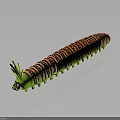 Caterpillar With Vibrant Stripes Segmented Body Green Legs And Spiky Head On Shiny Surface