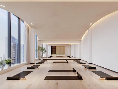 Bright Yoga Studio With Floor to Ceiling Windows City View Yoga Mats and Green Plants 3d model