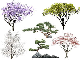 Modern Tree Landscape Tree Model Tree Color Leaf Plant Black Pine Pohan Pine Ornamental Tree Red Maple Color Leaf Tree 3d model