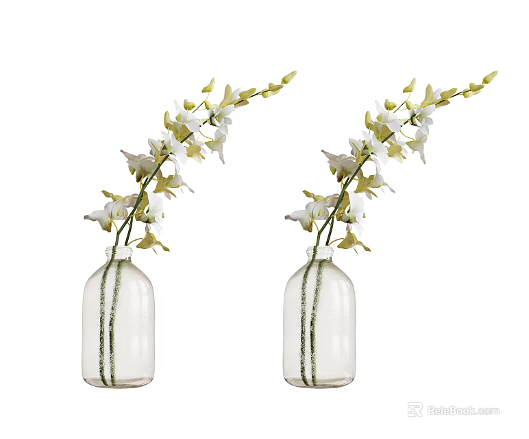 Two Clear Glass Vases With White Orchid Flowers And Green Stems For Home Decor 3d model 