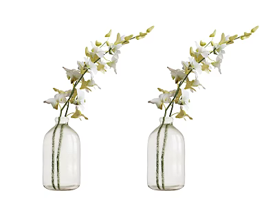 Two Clear Glass Vases With White Orchid Flowers And Green Stems For Home Decor 3d model