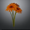Blooming Red Gerbera Flowers With Green Stems Against Gray Background