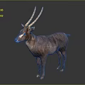 Detailed 3D Model Of Brown Deer With Long Antlers And White Facial Markings