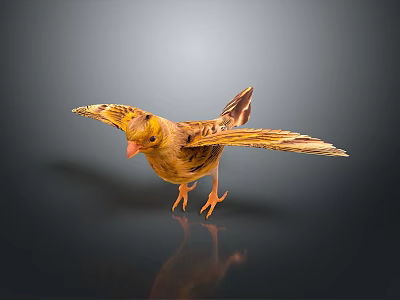 Yellow Bird With Spread Wings Standing On Smooth Surface And Reflection 3d model
