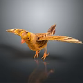 Yellow Bird With Spread Wings Standing On Smooth Surface And Reflection 3d model