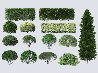 Various Garden Shrubs With Trimmed Shapes Rounded Hedges And Green Foliage 3d model