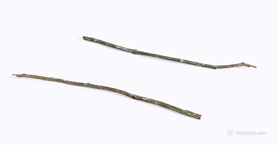Two Natural Wooden Sticks With Rustic Texture On White Background 3d model 