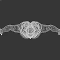 Human Muscular Organ System 3D Model Displaying Full Body Muscle Structure Red Muscles White Bones