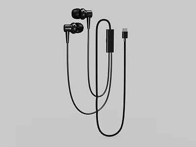 Wired In Ear Earphones With In Line Control And USB Connector 3d model