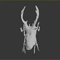 White Horned Beetle Sculpture With Detailed Texture And Shiny Surface On Gray Background