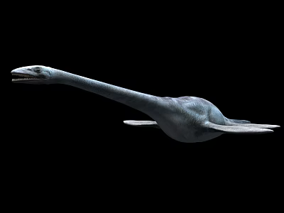 3D Render Of Prehistoric Aquatic Reptile With Long Neck And Marine Traits 3d model