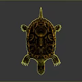 Turtle Cartoon Turtle Snapping Turtle Chickbill Turtle Reptile Cold Blooded Animal Reptile Class 3d model