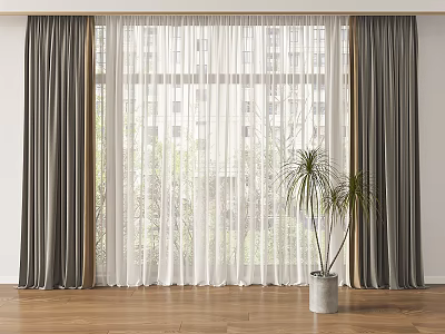 Dark Gray And White Sheer Double Layer Curtains At Window With Wooden Floor And Plant 3d model